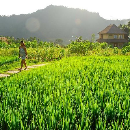 Bebek Biru Hotel Sidemen  Ngoại thất bức ảnh