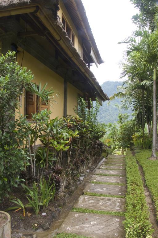 Bebek Biru Hotel Sidemen  Ngoại thất bức ảnh