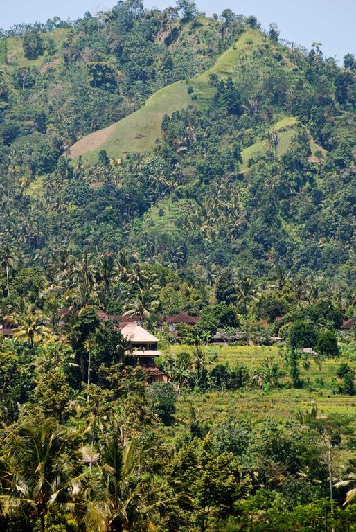 Bebek Biru Hotel Sidemen  Ngoại thất bức ảnh
