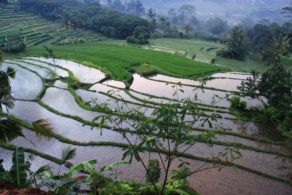 Bebek Biru Hotel Sidemen  Ngoại thất bức ảnh