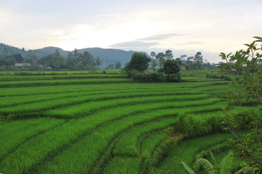 Bebek Biru Hotel Sidemen  Ngoại thất bức ảnh